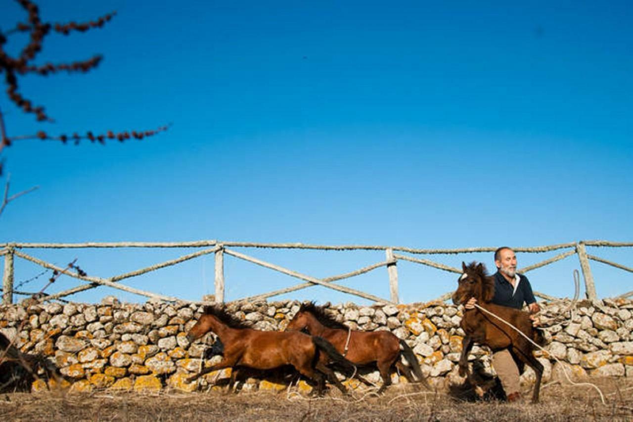 Cuaddus E Tellas Nuragus Εξωτερικό φωτογραφία